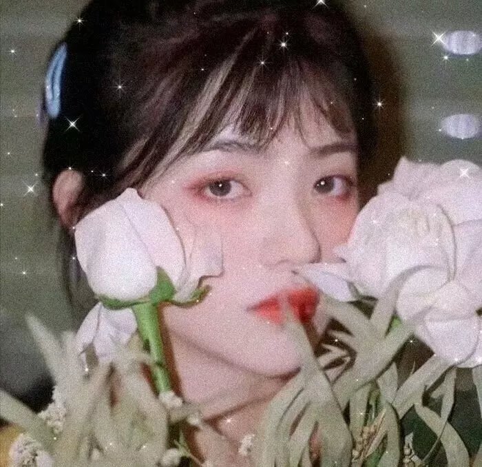 熊幸福骗局